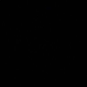 Meet your Posher, Rashaud